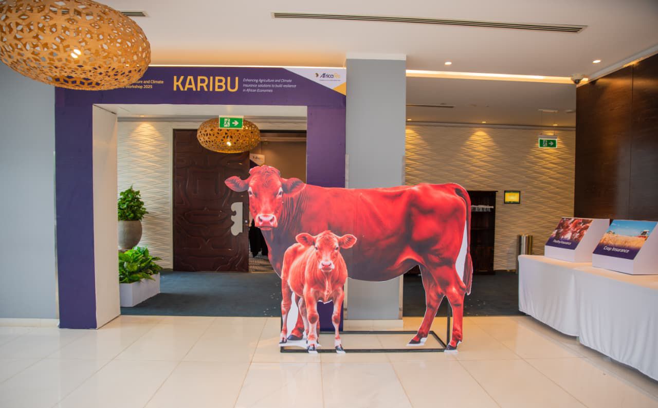 Africa Re Agriculture & Climate Workshop — photo 2